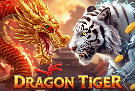 dragon tiger fortune